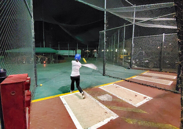 Castle Batting Cages