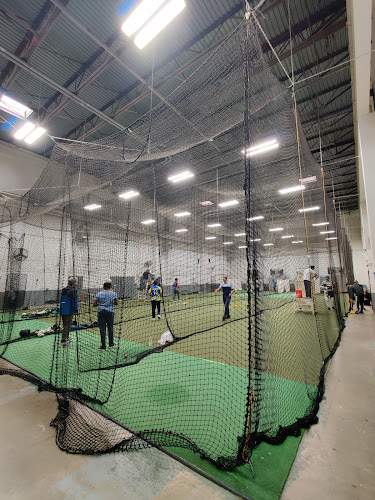 Bat and Ball Indoor Sports