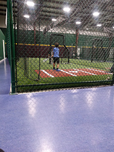 D-BAT New Braunfels