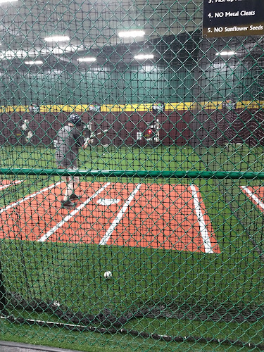 D-BAT Boerne