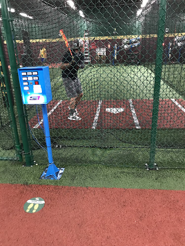 D-BAT Lubbock