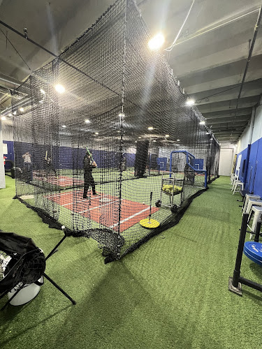 Top of the Lineup Sports Training