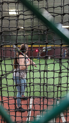 D-BAT Wichita Falls