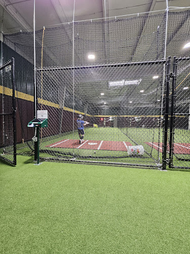 D-BAT Peachtree City