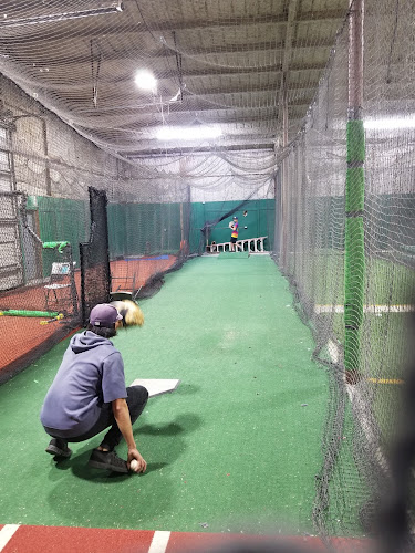 Texas Cages