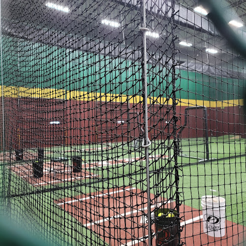 D-BAT Southshore