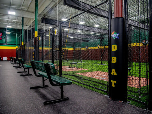 D-BAT Hickory