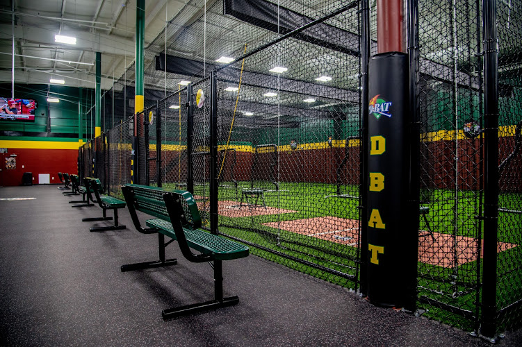 D-BAT Hickory