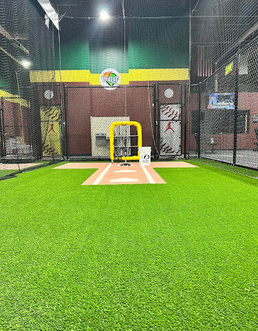 D-BAT Longview