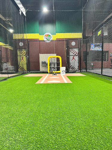 D-BAT Longview