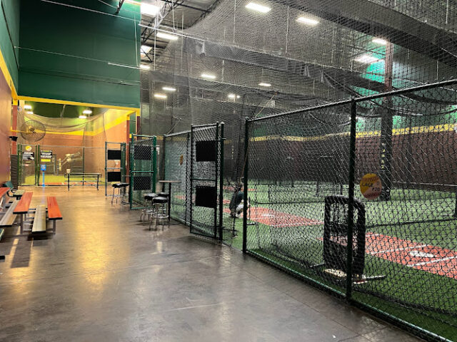 D-BAT Peoria