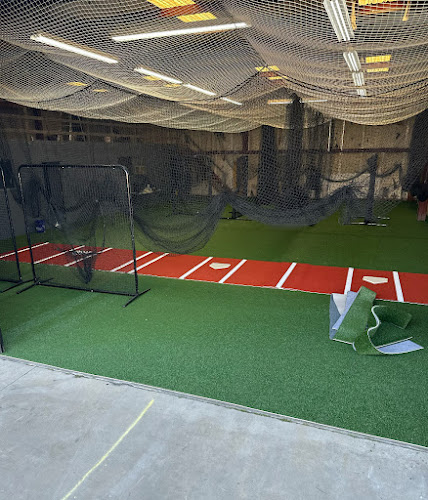 Gonzo Pro Sport Hitting Academy