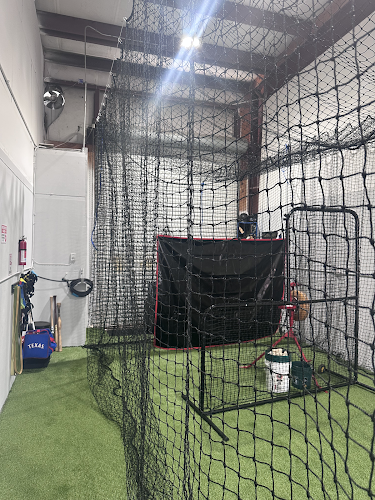 Six Tool Mindset Baseball Development