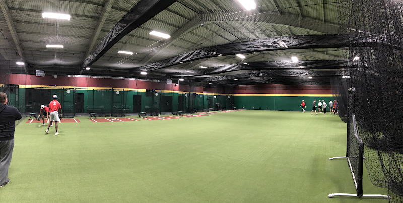 D-BAT Arlington