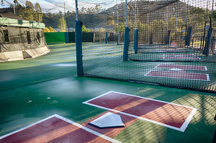 Stadium Golf Center & Batting Cages