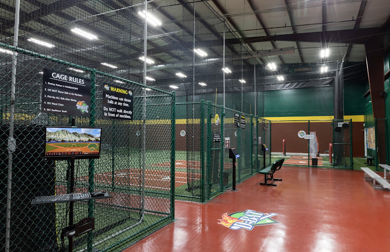 D-BAT Wesley Chapel
