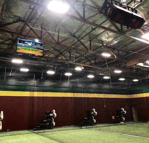 D-BAT Scottsdale