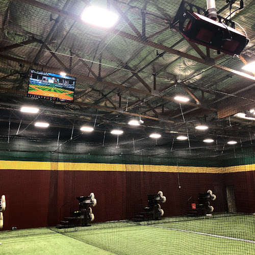D-BAT Scottsdale