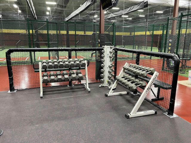 D-BAT Georgetown