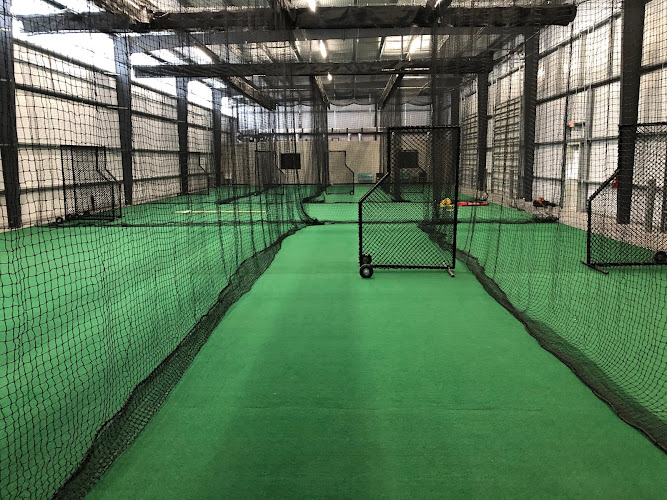 Train Every Athlete