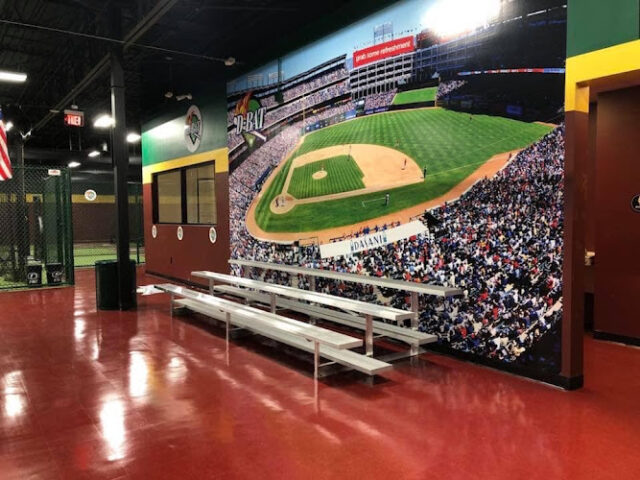 D-BAT Tucson