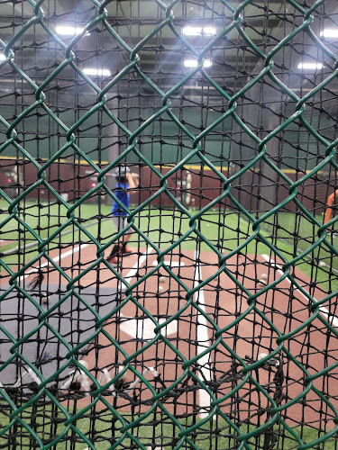 D-BAT Bakersfield