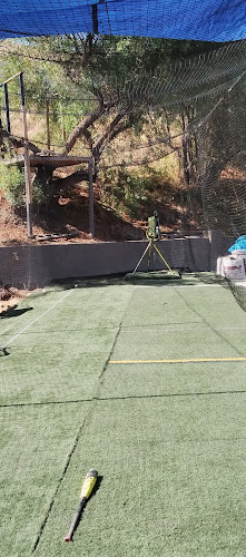 Smith Batting Cage and Coaching