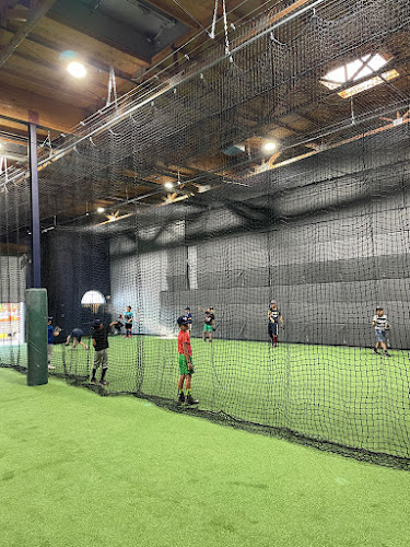 MVP Cages