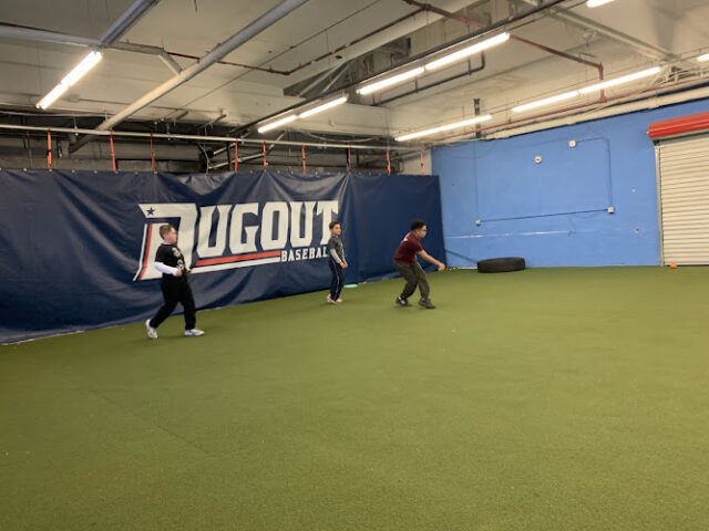 The Dugout LLC
