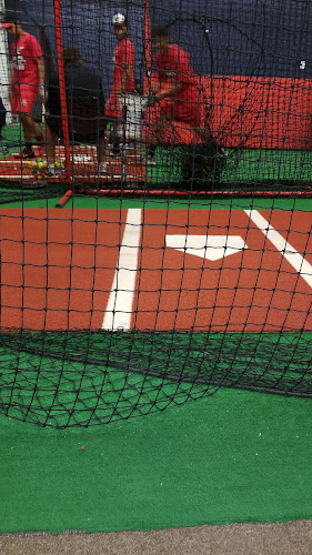 Perfect Swing Baseball&Softball Academy