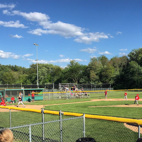 Diamond Kings Baseball and Softball Academy